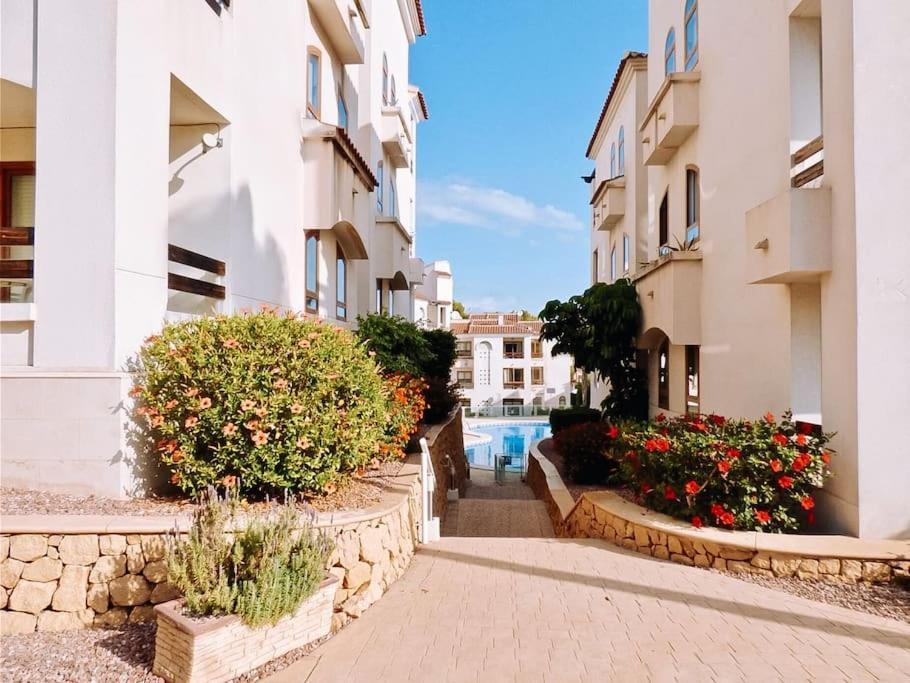 Soleado Apartamento Con Piscina Y Terraza Privada. Альбир Экстерьер фото